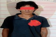 Cekcok, Petani di OKU Tusuk Rekannya