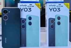 VIVO Y03 Penerus Series Y02, Ponsel Pintar dengan Harga Terjangkau