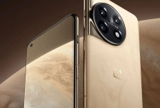 OnePlus 11 5G: Layar 120Hz + Charging 100W, Gaming dan Fotografi Tanpa Batas