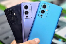 Mengulas OnePlus 9 : Desain Tahan Air, Kamera 50 MP Ultrawide, Chipset Ngebut 