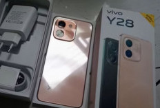 Duel Kelas Menengah: Vivo Y28 vs Samsung Galaxy A25 5G, Pilih Baterai atau Performa?