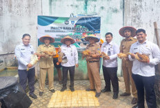 Panen Raya Lapas Martapura  dari Pertanian, Peternakan Hingga Perikanan 