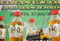 Pemerintah Tetapkan Alokasi Biodiesel Tahun 2026 sebesar 15,65 juta kL