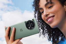 OnePlus 11 5G: Flagship Killer dengan Kamera Hasselblad yang Bikin Foto Anda Viral