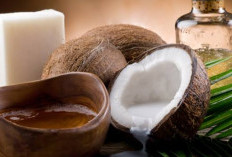 Hanya dengan Minyak Kelapa Uban Hilang Dengan Alami, Begini Caranya