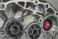 10 Tips Agar Motor Matic Tetap Optimal, Hindari Manjir dan Rajin Ganti Oli
