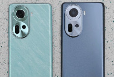 Bedanya OPPO Reno 11 5G dengan Oppo Reno12 F 5G: Simak Perbedaan Spesifikasinya 