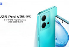 Review Smartphone Vivo V25 series 5G dan Vivo V25 Pro 5G