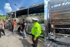 Diduga Ban Pecah, Bus PO Palala Terbakar di Muba Saat Menuju Padang   