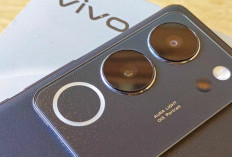 Vivo V29: Smartphone dengan Fitur EIS di Semua Kamera, Cek Spesifikasi dan harganya