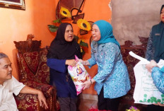 Program Palembang Sehat Sentuh ODGJ, TP PKK Lakukan Pendampingan Berkelanjutan