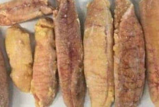 Menjaga Kesehatan Jantung dengan Mengonsumsi Telur Ikan