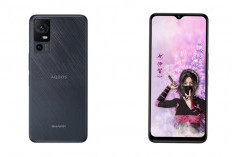 Review Smartphone dari Jepang SHARP Aquos V6 5G, Meluncur dengan Harga Merakyat 1 Jutaan