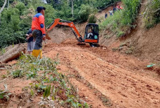 Longsor Tutup Akses Desa Tanjung Harapan, BPBD OKU Selatan Turunkan Alat Berat