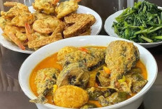 Resep Tongkol Pedas Santan, Cocok Untuk Ide Jualan yang Lezat