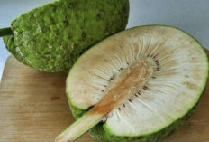 Roti Bakar Sukun: Olahan Kue Tradisional yang Populer di Indonesia