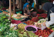 Harga Bawang Cenderung Stabil