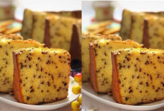 Kreasi Bolu Sunkist Orange Chiffon yang Nikmat