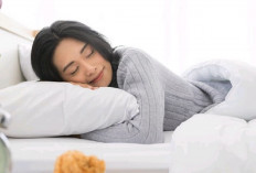 3 Manfaat Tidur Siang Bagi Kesehatan Yang Banyak Belum Tahu, Simak Penjelasnya