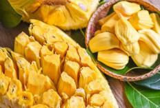 Memiliki Rasa Manis, Buah Nangka Mengandung Nutrisi yang Sangat Baik untuk Kesehatan