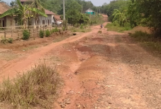 Jalan Kabupaten Banding Agung Rusak Parah 