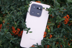 Honor X7d Bikin Terpana: Hp Baterai 6500 mAh, Kamera Utama 108 MP