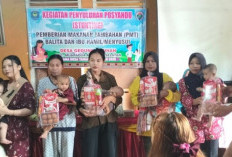 Desa Gedung Lepihan Gelar Penyuluhan Posyandu dan PMT untuk Cegah Stunting