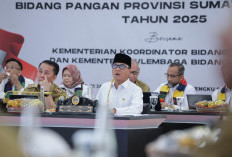 Dukung Ketahanan Pangan, Mendes Ajak Semua Pihak Awasi Penggunaan Dana Desa 