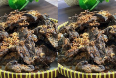 Resep Paru Goreng Crispy yang Gurih