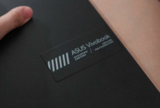 ASUS Vivobook Go 15 OLED, Datang dengan Harga Merakyat Ditenagai Prosesor AMD Ryzen
