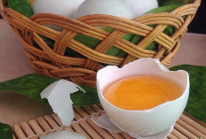 Mengapa Tukang Salon Menggunakan Telut dalam Perawatan Rambut: Potensi Rahasia dari Produk yang Terkenal