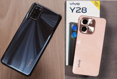 Keunggulan OPPO A92 atau Vivo Y28, Perbandingan HP dengan Harga 2 Jutaan