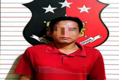Terduga Pencuri Sawit Ditangkap