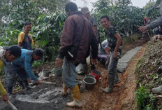 Warga Desa Pauh Gotong Royong Perbaiki Jalan Perkebunan Secara Swadaya