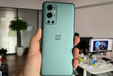 OnePlus 9 Pro: Mampu Merekam Video 8K, Intip Spesifikasi, Fitur dan Harganya