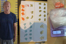 Sita Ratusan Gram Sabu dan Ekstasi Berbagai Varian 