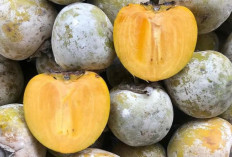 8 Manfaat Buah Kesemek, Mampu Menjaga Kesehatan Jantung dan Penuaan Dini