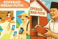 Regulasi untuk Koperasi Merah Putih