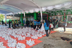 Sembelih 12 Ekor Sapi, Kemenag OKU Selatan Disebar Daging Qurban ke Seluruh Kecamatan
