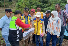 Tingkatkan Hasil Pertanian, Kabupaten Banyuasin Bangun Jaringan Irigasi Rawa Sepanjang 2,9 KM