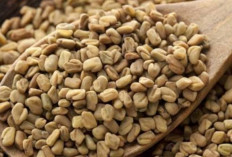 Meringankan Nyeri Haid: Fenugreek Tawarkan Solusi Alami