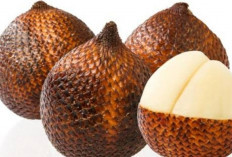 Efek Samping Buah Salak: Apa yang Perlu Diketahui?