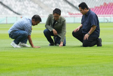 Jelang Kualifikasi PD 2026 Lawan Jepang dan Arab Saudi, Erick Thohir: Kondisi Rumput SUGBK Terbaik 