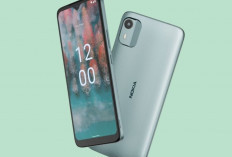 Spesifikasi Nokia C12, HP dengan Harga Merakyat