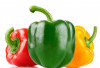 Paprika: Superfood Warna-warni untuk Menangkal Penuaan Dini dan Mempercantik Kulit!