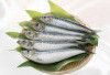 Kaya Akan Protein Tinggi, Ikan Sarden Miliki Manfaat untuk Mencegah Penuaan Dini