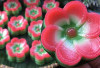 CANTIK! Ini Resep Kue Lapis Bunga Sakura, Kenyal, Nikmat dan Merekah