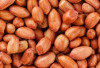 Mengatasi Penuaan Dini dengan Kacang Tanah: Solusi Alami untuk Kulit Sehat