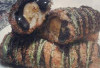 Resep Roti Tawar Gulung isi Pisang Coklat yang Lezat 