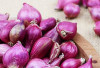 Mengatasi Penuaan Dini dengan Bawang Merah: Solusi Alami untuk Kulit Sehat